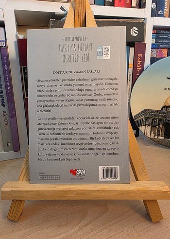 Martıya Uçmayı Öğreten Kedi - Görsel 3