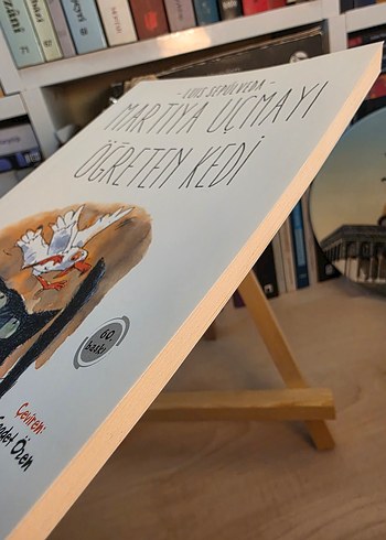 Martıya Uçmayı Öğreten Kedi - Görsel 2