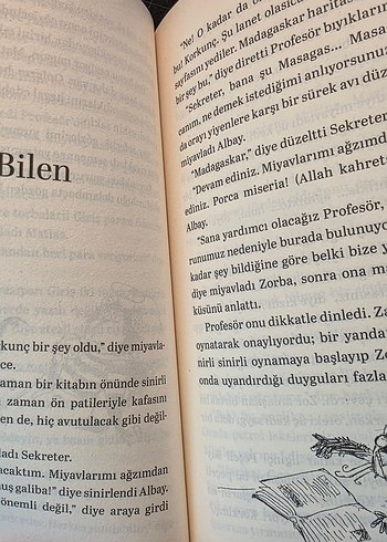 Martıya Uçmayı Öğreten Kedi - Görsel 7