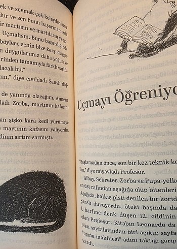 Martıya Uçmayı Öğreten Kedi - Görsel 8