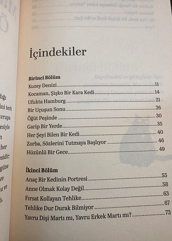 Martıya Uçmayı Öğreten Kedi - Görsel 4