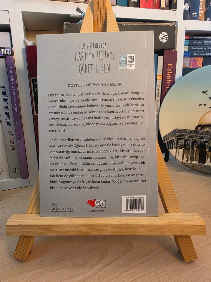 Martıya Uçmayı Öğreten Kedi - Görsel 3