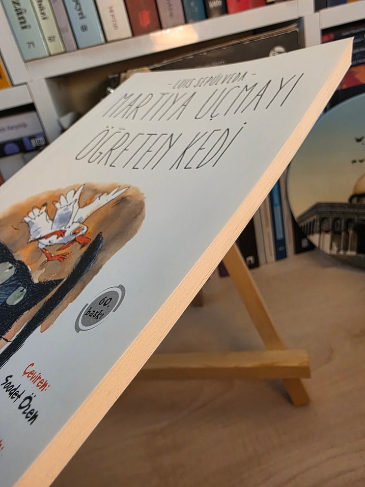 Martıya Uçmayı Öğreten Kedi - Görsel 2