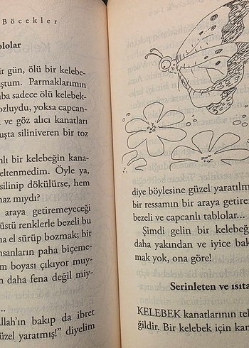 Şu Acayip Böcekler - Tarık Uslu - Görsel 8