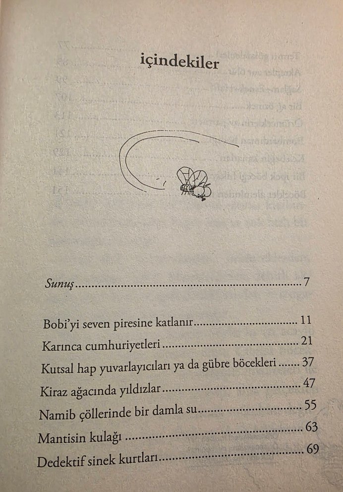 Şu Acayip Böcekler - Tarık Uslu - Görsel 4