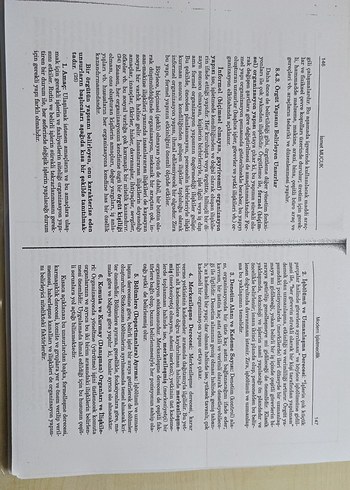 Beden Renk İşletme bilimleri