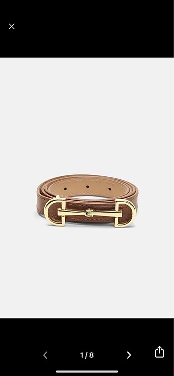 Massimo dutti kemer