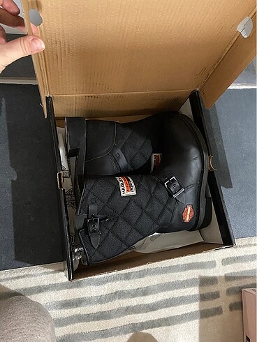 Harley Davidson Harley Davidson