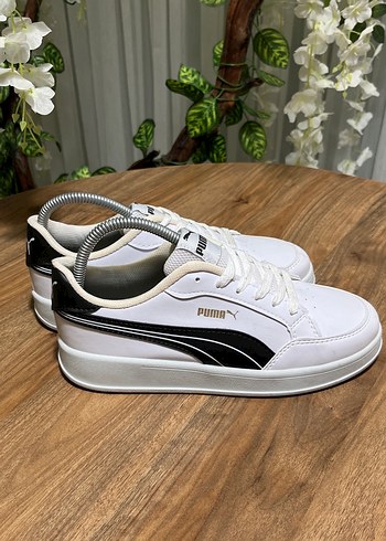 Puma 39