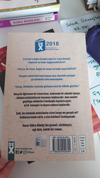  DOĞU EKSPRESİ, HACER KÜBRA GÜMÜŞ (DEX YAYINLARI)