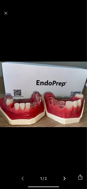 Endoprep Alt/Üst Çene