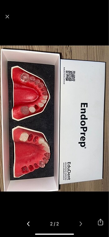  Endoprep Alt/Üst Çene