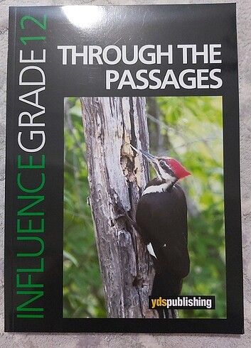 İnfluence grade 12 through the passage