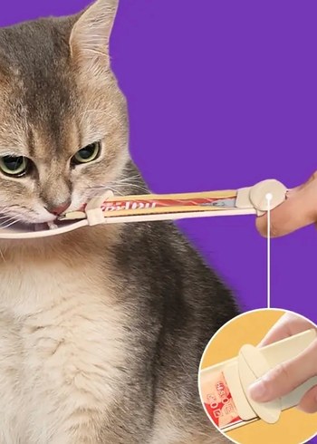 Ödül maması kaşığı - Görsel 5