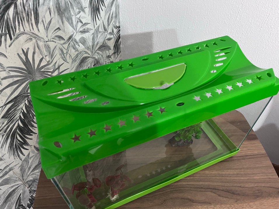 Yeşil Renkli Akvaryum - Görsel 3