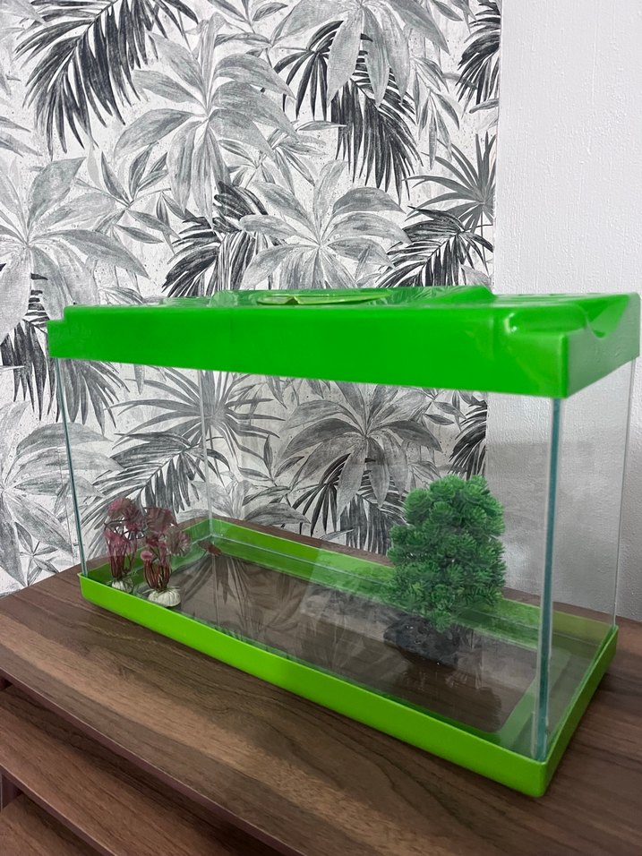 Yeşil Renkli Akvaryum - Görsel 2