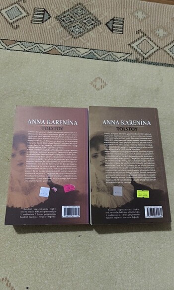  anna karenina iki cilt