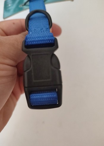 Mavi Renkli Kedi Tasması - Görsel 3