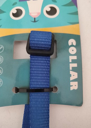 Mavi Renkli Kedi Tasması - Görsel 4