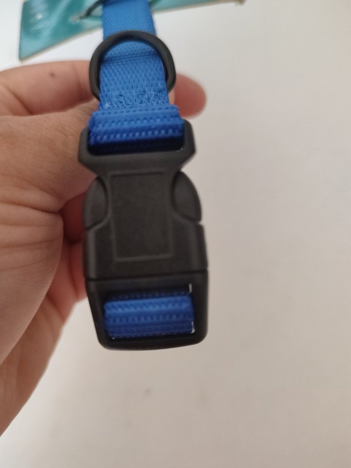 Mavi Renkli Kedi Tasması - Görsel 3