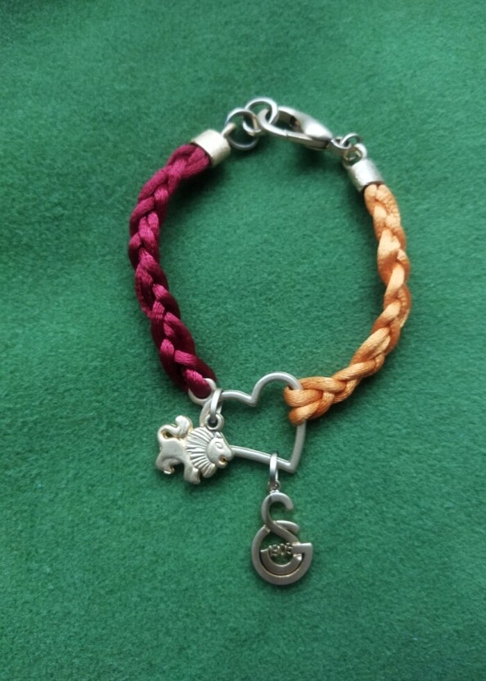 Taraftar Galatasaray bileklik - Görsel 3