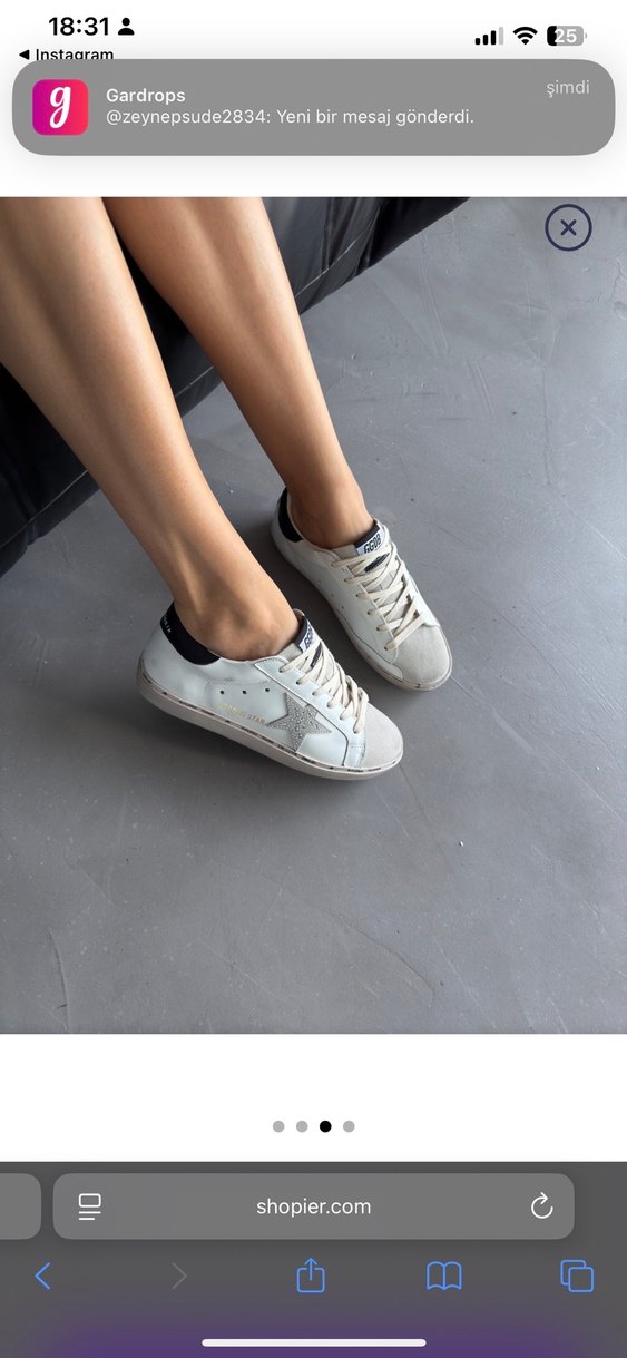 Golden goose - Görsel 3