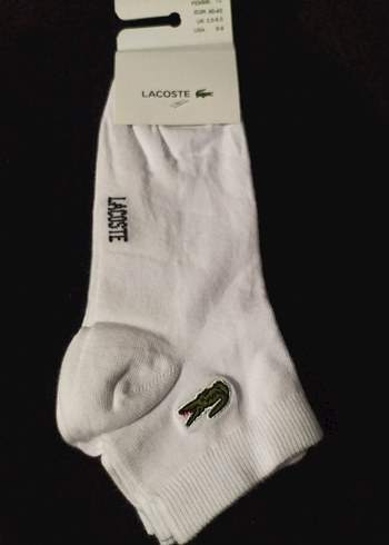 Lacoste