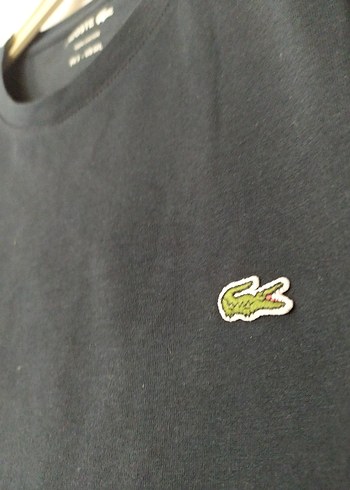 Lacoste Tişört - Görsel 2