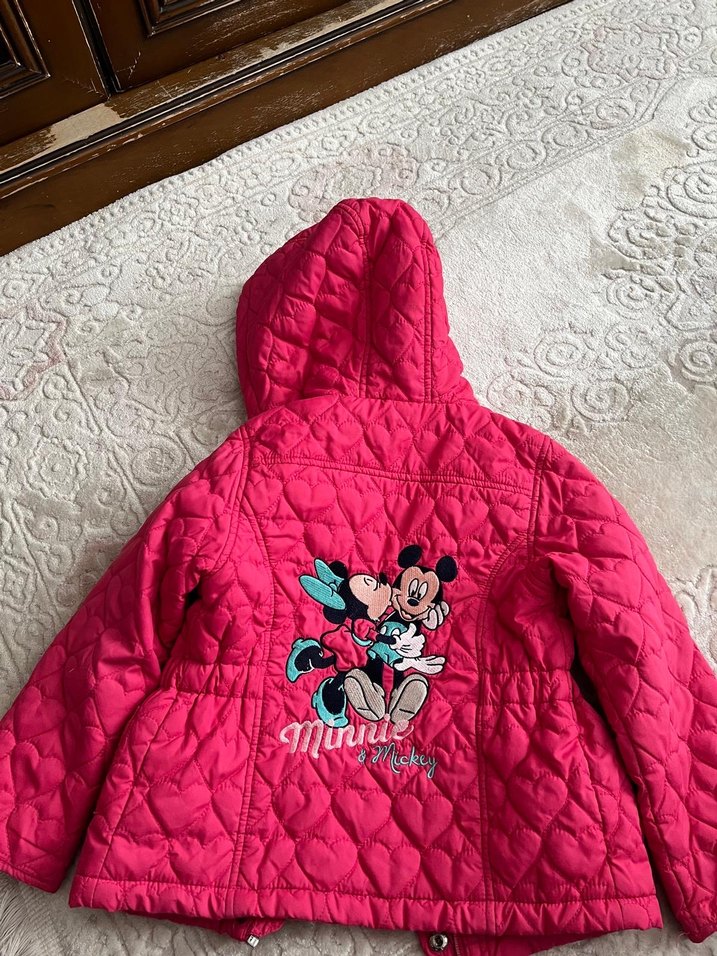 Kız Çocuk Kapüşonlu Pembe Nakışlı Mont - Görsel 2