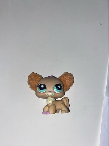 lps miniş
