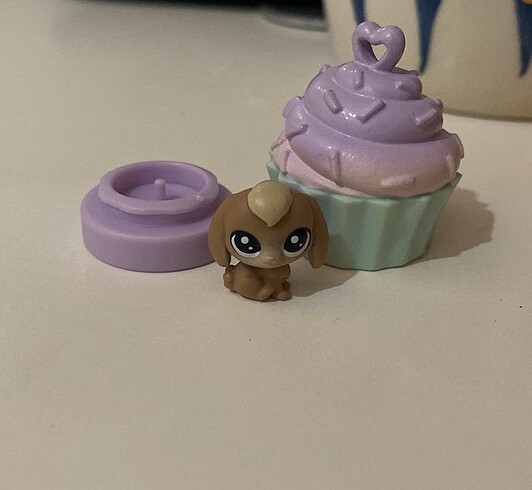  Beden lps minis mini