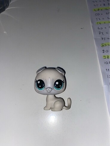 lps miniş