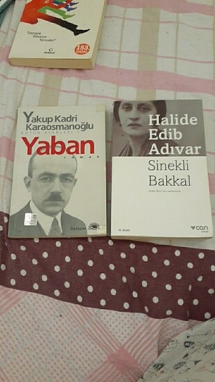 Yaban ve sinekli bakkal