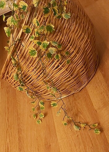 Rattan Kedi evi Kedi köpek yatağı  - Görsel 6