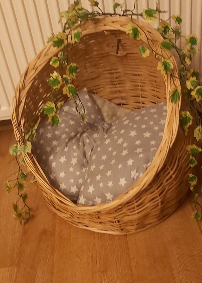 Rattan Kedi evi Kedi köpek yatağı  - Görsel 5