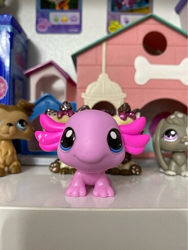 axolotl miniş