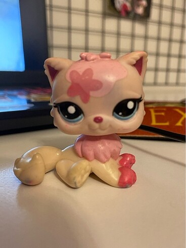  Lps miniş