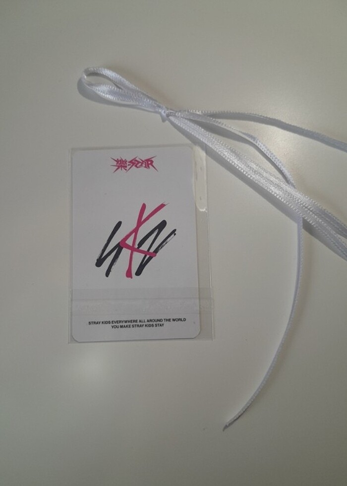 KARGO BEDAVA/Orjinal Lee Know Pob Fotokart - Görsel 2