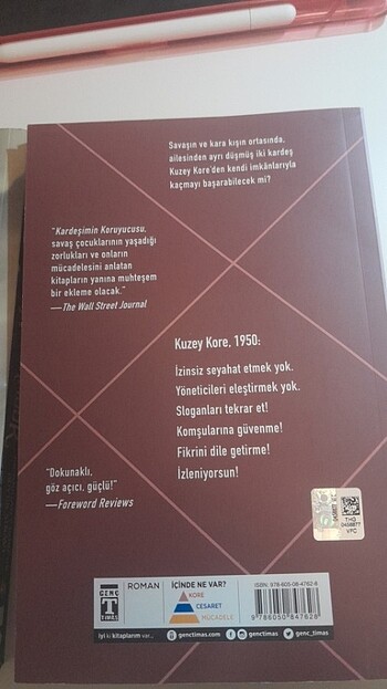 INDIRIMLI Nevermoor ve Kardeşimin Koruyucusu Kitap - Görsel 3