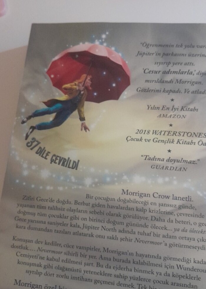 INDIRIMLI Nevermoor ve Kardeşimin Koruyucusu Kitap - Görsel 2