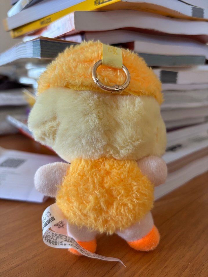 Cry Baby Duck - Görsel 2