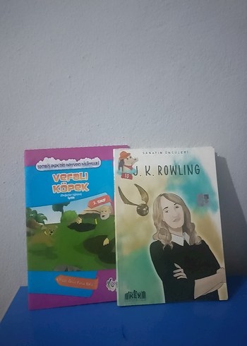 Beden Renk Çocuklar İçin Eğitici ve öğretici Kitaplar.