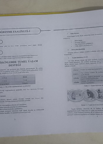 Çocuk Gelişimi ve Eğitimi Ders Notları - Görsel 4