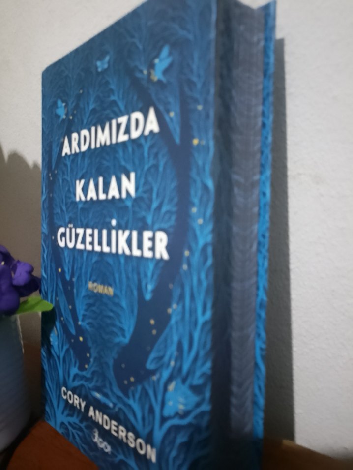 Ardımızda Kalan Güzellikler Romanı - Görsel 4