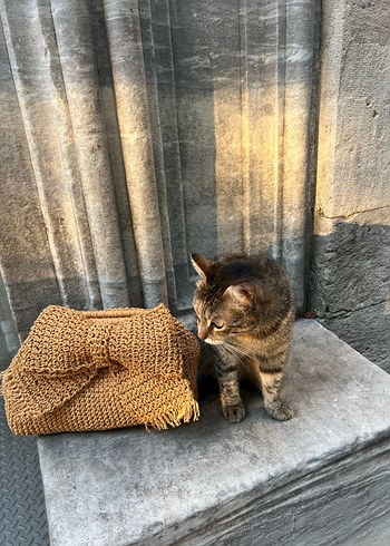 Burslu hasır çanta - Görsel 2