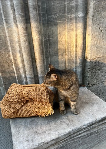 Burslu hasır çanta - Görsel 3