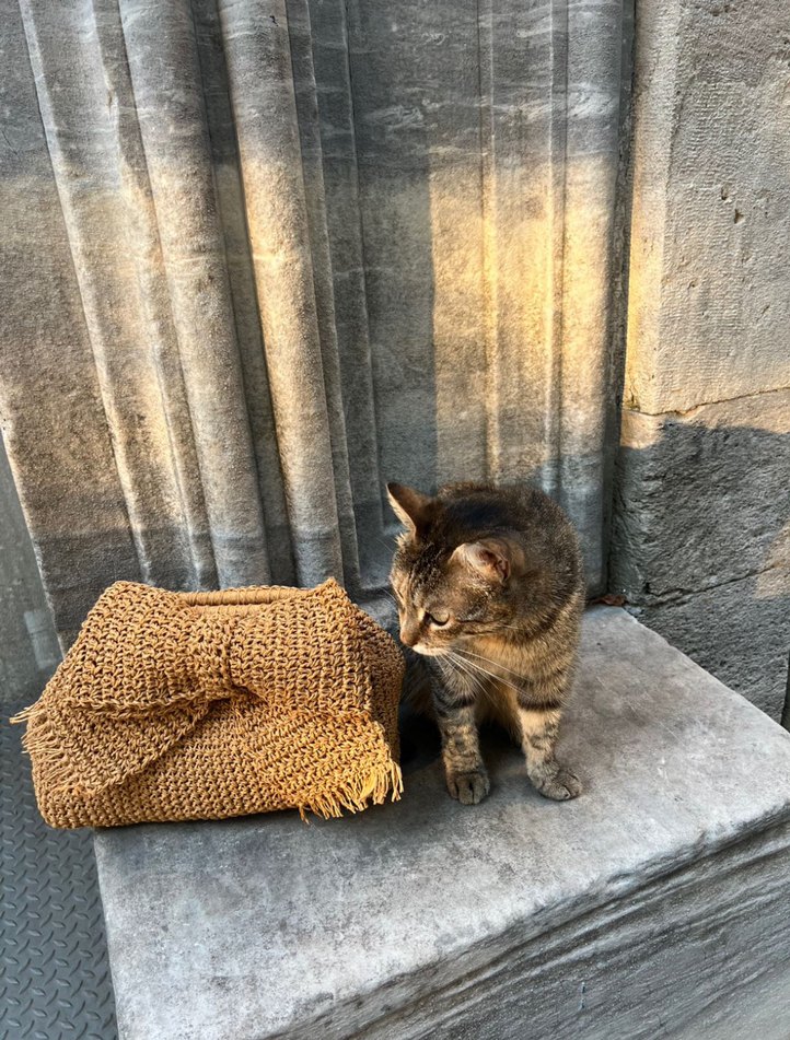 Burslu hasır çanta - Görsel 2