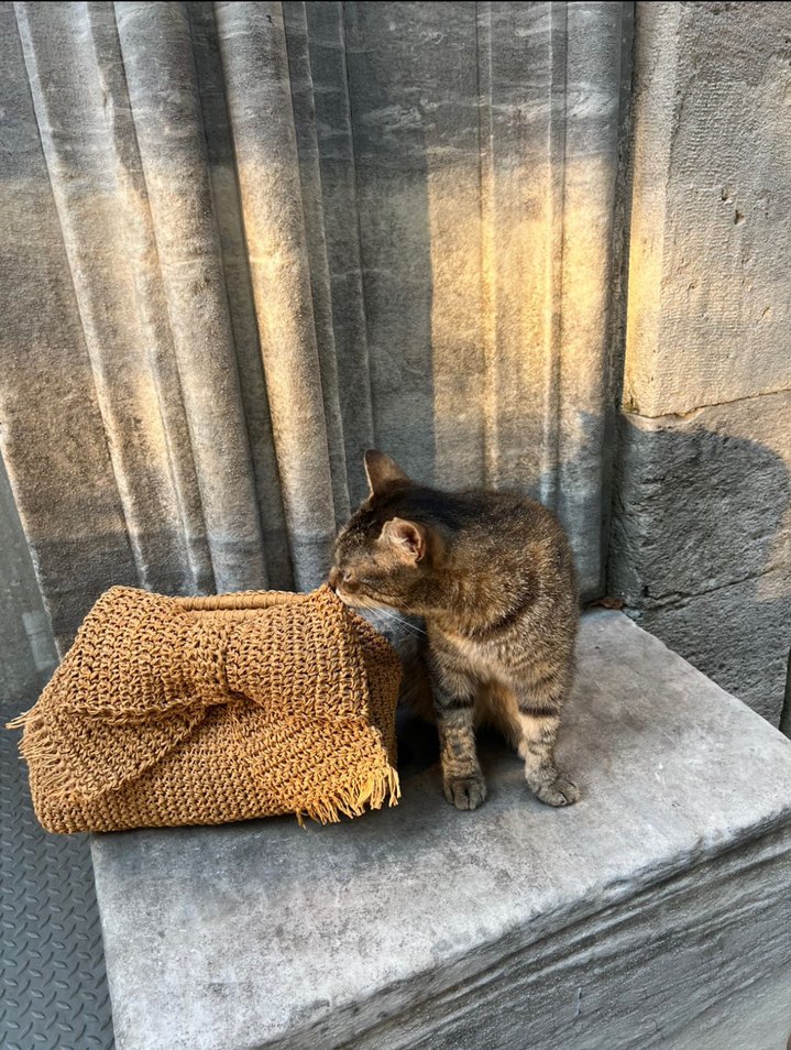 Burslu hasır çanta - Görsel 3