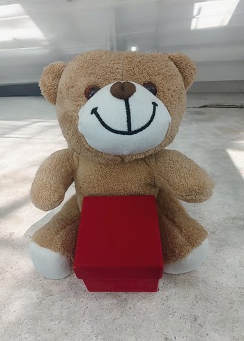 Kahverengi Peluş Ayı ve Hediye Kutusu - Görsel 2