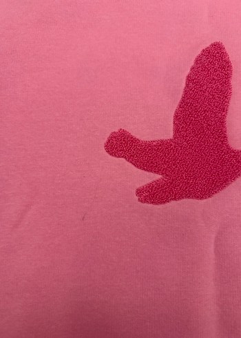 s Beden Beymen Club Pembe Kapüşonlu Kadın Sweatshirt